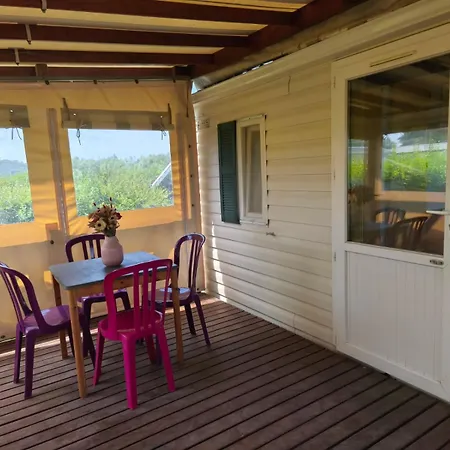 Des Oiseaux- Baie De Somme