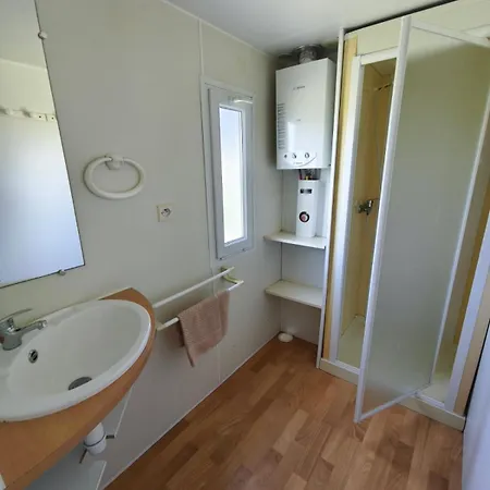 Des Oiseaux- Baie De Somme *